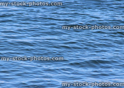 Stock image of water ripples on sea / seaside, reflections of sky