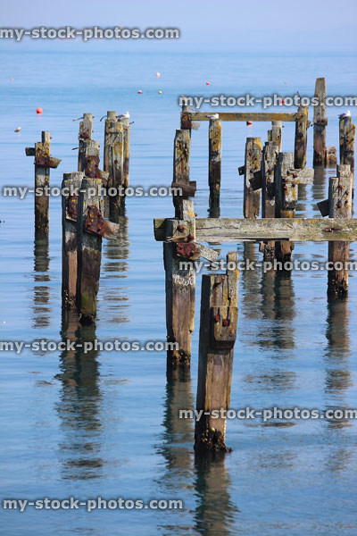 Stock image of rotten pier reflections, rotting wooden supports / posts in water