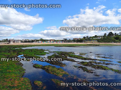 Stock image of seaside rockpools at Exmouth beach with huts, sand