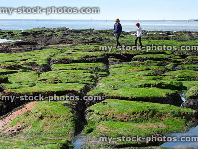 Stock image of children exploring seaside rockpools / rocks covered with seaweed