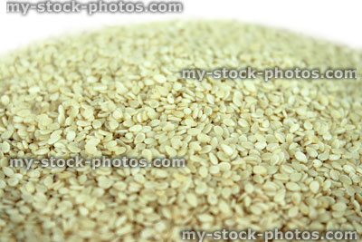 Stock image of sesame seeds, healthy diet food, Asian cuisine ingredient