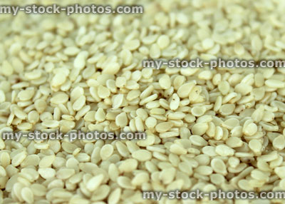 Stock image of sesame seeds used on burger buns / Asian cooking
