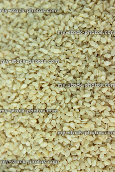 Stock image of sesame seeds, calcium, iron, magnesium, molybdenum, phosphorus, selenium, zinc