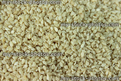 Stock image of sesame seeds in pile, health benefits of seeds / nuts
