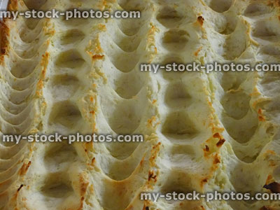 Stock image of crispy golden-brown forked mashed potato on shepherd's pie