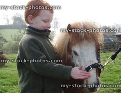 Stock image of young boy petting Shetland pony, stroking nose / head