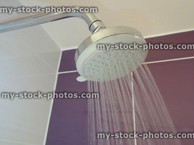 Stock image of chrome shower head spraying against purple bathroom tiles