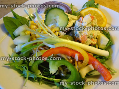 Stock image of mixed side salad, lettuce, rocket leaves, peppers, cucumber, coleslaw, red onion, sweetcorn, spring onion