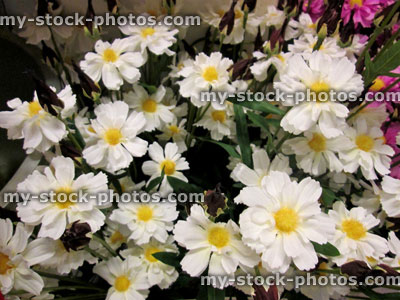 Stock image of plastic and silk white daisies / artificial daisy flowers