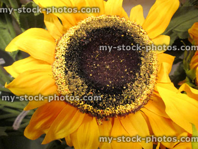 Stock image of plastic / silk sunflower (Helianthus annuus) / artificial yellow flower