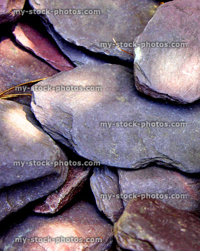Stock image of purple slate paddlestones in garden / slate mulch stones