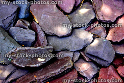 Stock image of purple slate paddlestones in garden / slate mulch stones