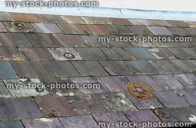 Stock image of old purple slate roof tiles and lead flashing