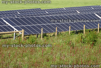 Stock image of solar farm with rows of panels in field