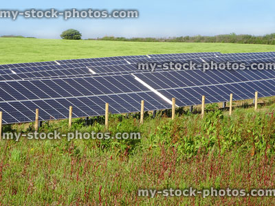 Stock image of solar panels on farm field, environmentally friendly energy