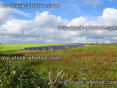 Stock image of solar farm with panels soaking up sunshine energy