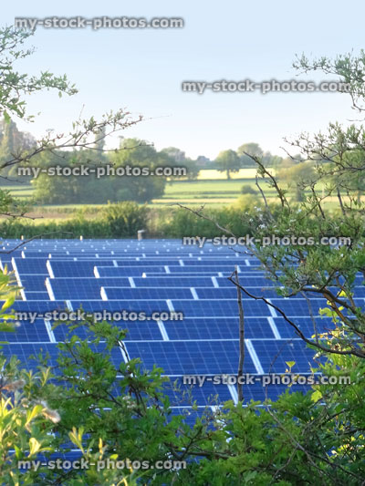 Stock image of solar farm with rows of panels in field