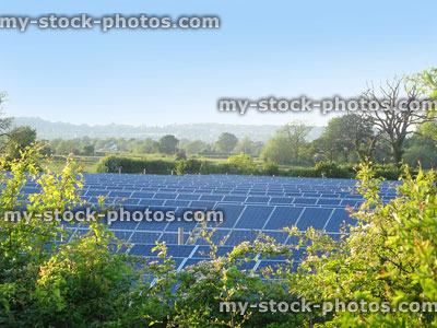Stock image of solar farm with panels, energy created by sunshine