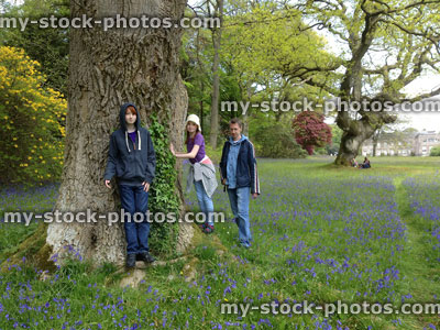 Stock image of family in a bluebell meadow in the Spring 