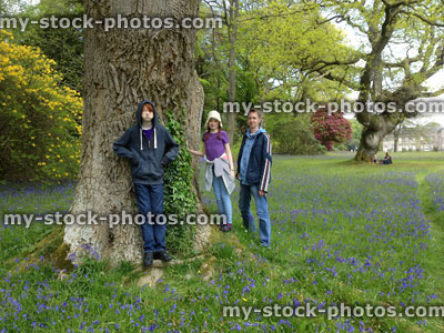 Stock image of family in a bluebell meadow in the Spring 