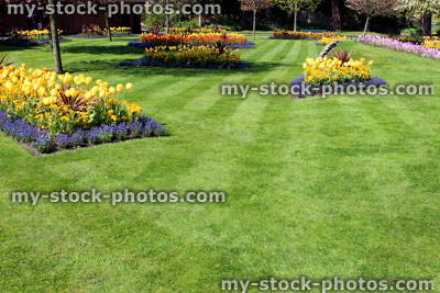 Stock image of park with colourful spring flowers and tulip bulbs
