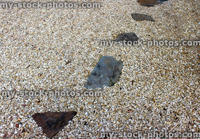 Stock image of grey stepping stones on gravel, in garden