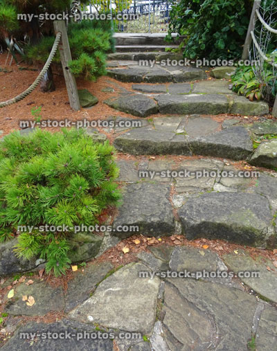 Stock image of stone steps leading to pathway in, ornamental garden stairs, stepping stones