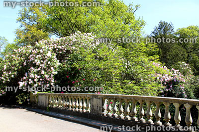 Stock image of grand bridge in garden, with cast stone balustrading