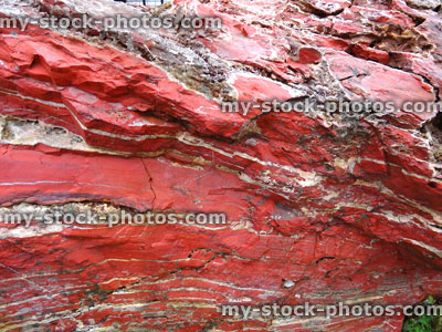 Stock image of large red marble rock, quartz veins, metamorphic rock surface