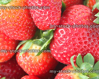 Stock image of fresh red strawberries, strawberry fruit with green stalks