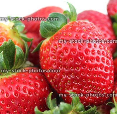 Stock image of fresh red strawberries, strawberry fruit with green stalks