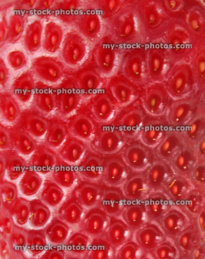 Stock image of red strawberry skin showing seeds and hairs