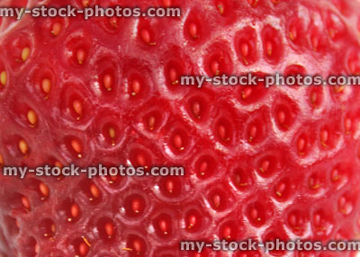 Stock image of red strawberry skin, seeds, hairs, texture, macro close up