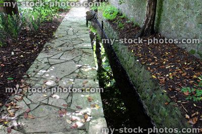 Stock image of crazy paving pathway by stream, shady woodland garden