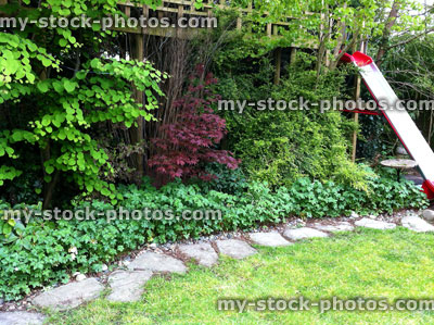 Stock image of plant border along a garden path