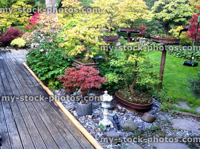 Stock image of an ornamental domestic garden
