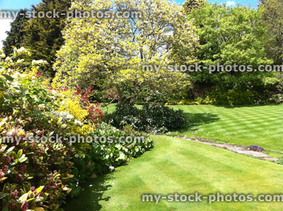 Stock image of manicured striped lawns in public garden