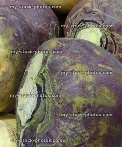 Stock image of freshly dug swedes (rutabaga / Swedish turnip), supermarket, fruit / vegetable shop, greengrocer