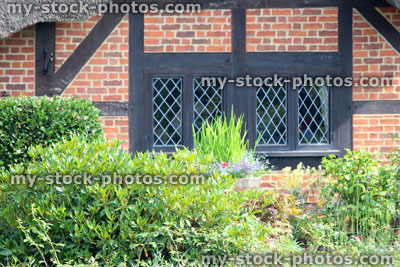 Stock image of thatched cottage window and garden, diagonal lead window