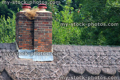 Stock image of thatched roof and brick chimneys on thatched cottage