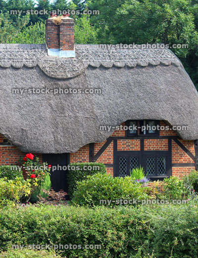 Stock image of thatched cottage window and garden, diagonal lead windows