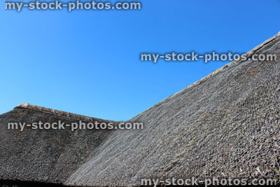 Stock image of thatched roof covered with chicken wire, against blue sky