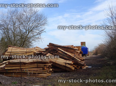 Stock image of split firewood stacks at lumberyard / softwood timber logs