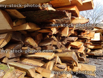 Stock image of split larch logs at timber yard / lumber firewood