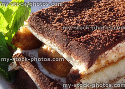 Stock image of tiramisu cake with mint garnish and sponge layers