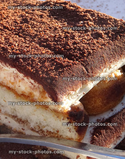 Stock image of tiramisu cake with layers of coffee sponge, grated chocolate