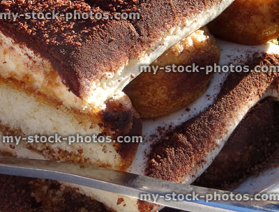 Stock image of coffee liqueur tiramisu sponge cake covered with powdered chocolate