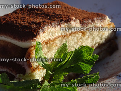 Stock image of coffee sponge layers of tiramisu cake, mint garnish