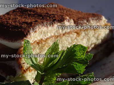 Stock image of layered tiramisu coffee cake, sprig of mint garnish
