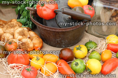 Stock image of different colour tomatoes, homegrown, red, yellow, orange, green, purple